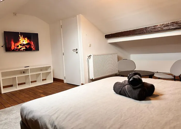 Chambre Spacieuse Privee Avec Salle De Bain Privee