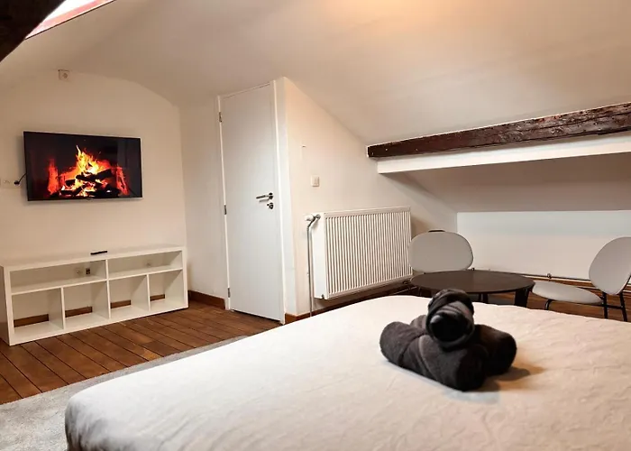 Chambre Spacieuse Privee Avec Salle De Bain Privee